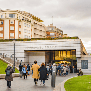 Dinamización, programación y desarrollo de acciones culturales