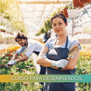 Actividades auxiliares en viveros, jardines y centros de jardinería