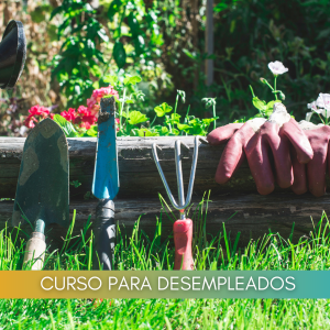 Instalación y mantenimiento de jardines y zonas verdes