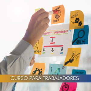 Project managment: gestión integrada de proyectos