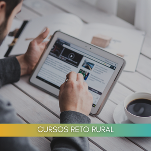 INTERACTUAR A TRAVÉS DE CONTENIDOS DIGITALES