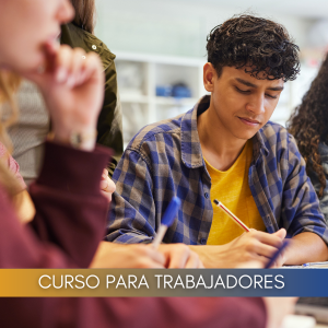 Liderazgo, organización del trabajo en equipo y solución de problemas