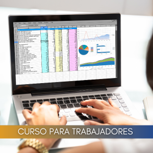 Microsoft Excel 2019 nivel 1