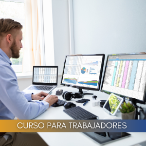 Microsoft Excel 2019 nivel 2